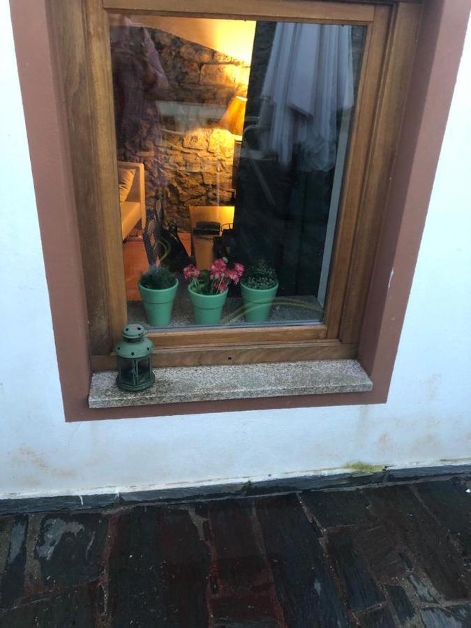 Casa Do Tuga Daire Bragança Dış mekan fotoğraf